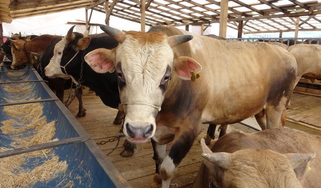 Korkutan vaka sonrası uyarı: Et tüketiminde bu hatayı yapmayın!