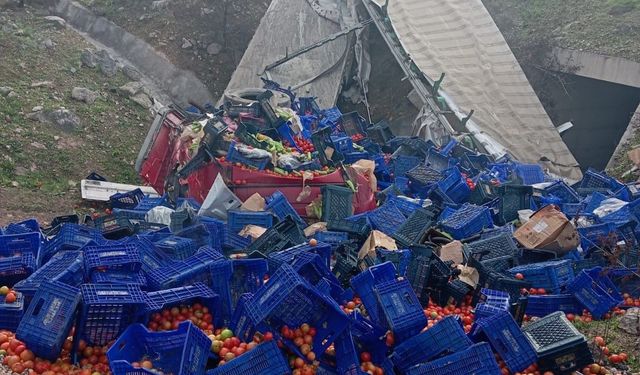 Komşuda sebze yüklü tır şarampole devrildi: 1 yaralı