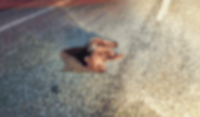 Eskişehir'in komşusunda yürek parçalayan görüntü: Yolda ölü bulundu