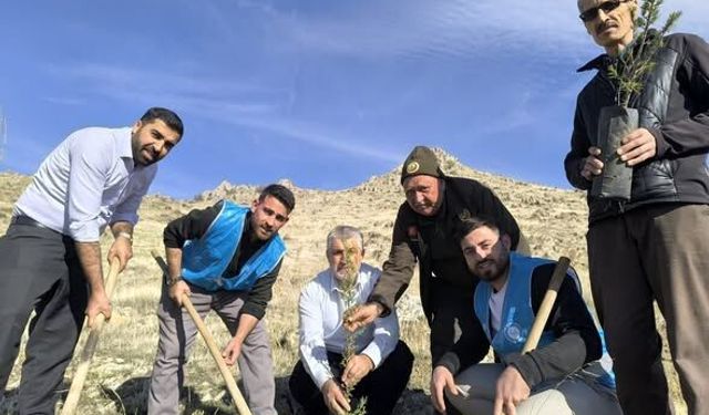 Sivrihisar'da fidanlar toprakla buluştu