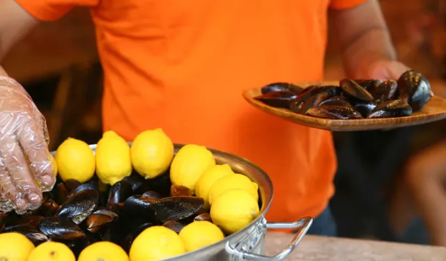 Sokak lezzetleri mercek altında: Bakanlık reçete zorunluluğunu açıkladı