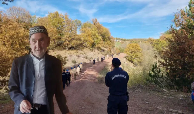 2 yıl önce kaybolmuştu: 80 yaşındaki adam için yeniden arama çalışması başlatıldı