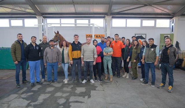 Eskişehir'de “Kısraklarda Suni Tohumlama Eğitimi" gerçekleştirildi