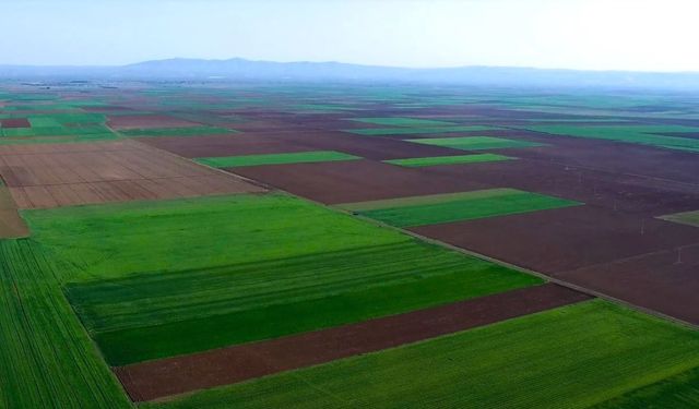Alpu Ovası için kritik karar!