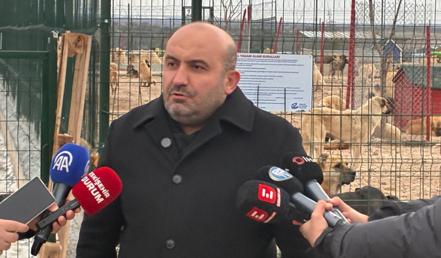 Gürhan Albayrak'tan barınak tepkisi: "Bu tablo ağır bir ihmalin belgesidir"