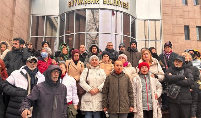 Eskişehir'de hayvan hakları savunucuları tepkili: "Hayvanlar barınaklara sürüldü"