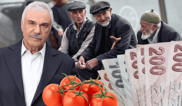 Usta sanatçı 5 domatese 450 TL ödedi! Halil Ergün emekli maaşına isyan etti