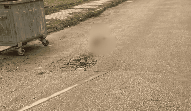 Eskişehir'de yürekleri sızlatan görüntü: Ezerek öldürdü, yolun ortasına bırakıp gitti