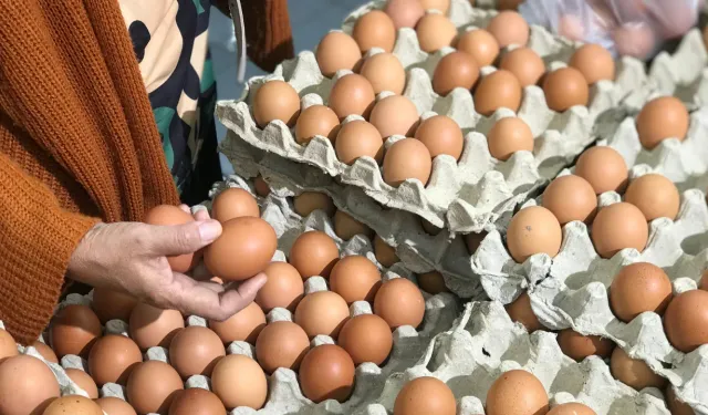 Ekonomi