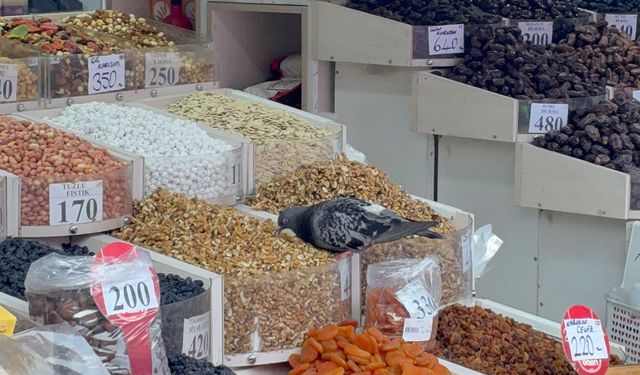 Hamamyolu'nda hijyen tartışması: Kuruyemişlerin üzerine kuşlar kondu