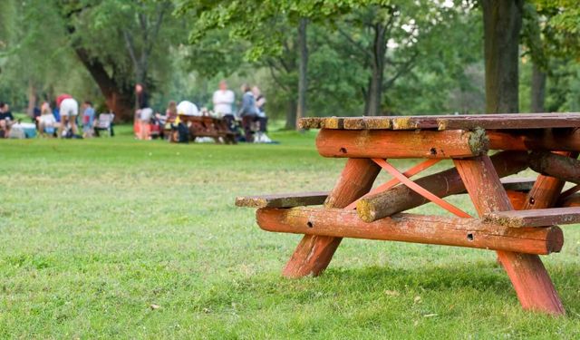 Eskişehir'de nerelerde piknik yapılır? İşte en güzel mesire alanları