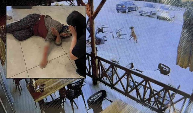 Köpegin saldırısı sonrası ağır yaralanan kadınla ilgili açıklama