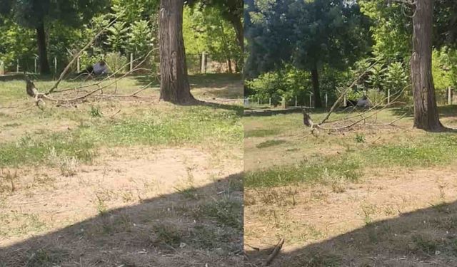 Eskişehir'de faciadan dönüldü: "Şans eseri kurtulduk"