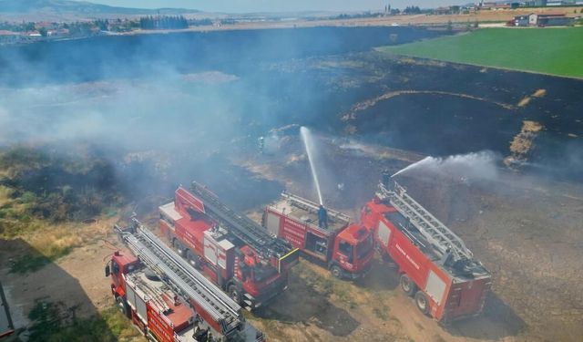 45 dekar buğday tarlası dakikalar içinde kül oldu