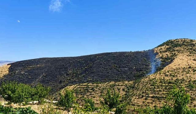 Rüzgarın etkisiyle büyüyen yangın 150 hektar alanı kül etti