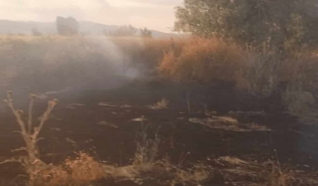 Alevler bir anda her yeri sardı: Tarım arazileri zarar gördü