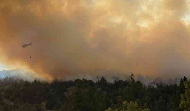 Ormana sıçrayan anız yangını 3 saatte kontrol altına alındı