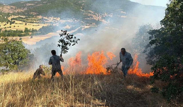 Tarım arazisinde çıkan yangın ormana sıçradı: 5 hektarlık alan yandı
