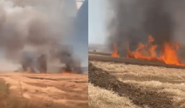Eskişehir'de elektrik hattından çıkan kıvılcım buğday tarlasını yaktı