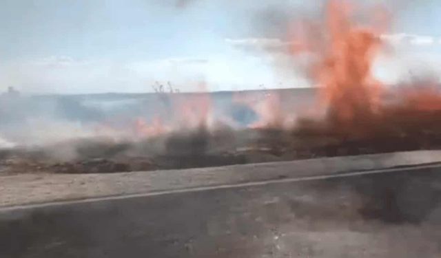 Eskişehir'de biçerdöverden sıçrayan kıvılcım tarım arazisini kül etti
