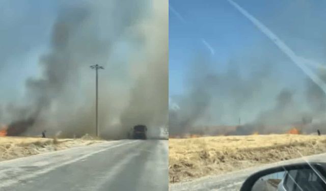 Eskişehir'de ekili arazide yangın çıktı