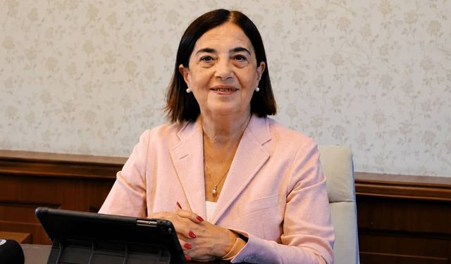 İktidar ile geçinip gitmek varken ne gerek vardı Yeni Parti’ye!