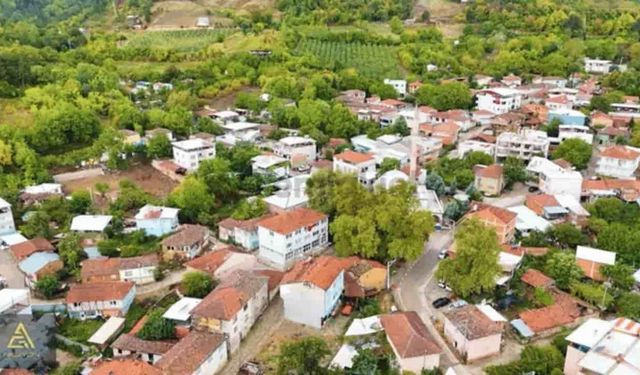 Yaşam