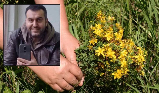 Sağlık teknisyeni sarı kantaron toplarken hayatını kaybetti