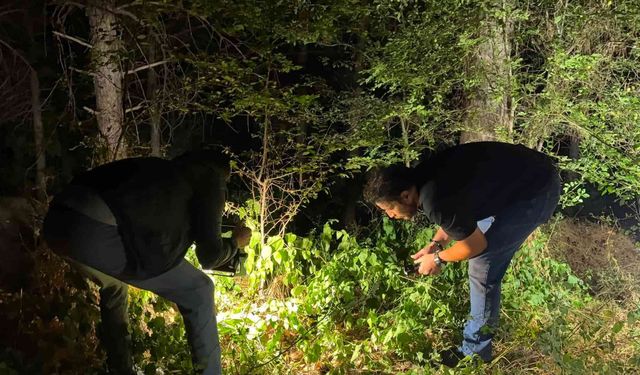 Ormanda silahlı saldırı: 24 yaşındaki genç vuruldu