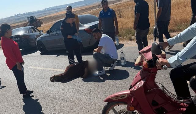Eskişehir'de öldüresiye dövdüğü genç kadını yola atıp kaçtı!