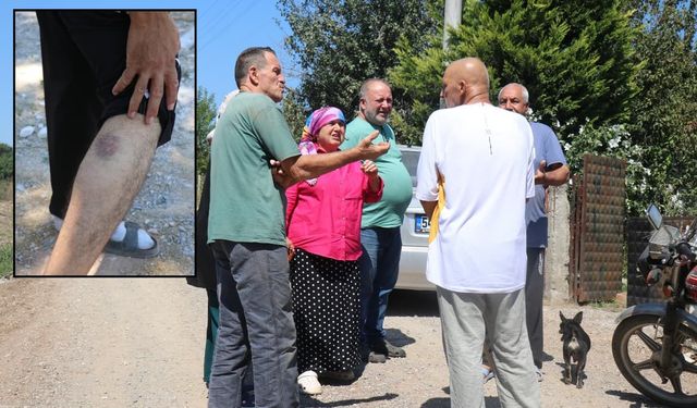 Bütün mahalle diken üstünde: Gulyabani filmi gerçek oldu...
