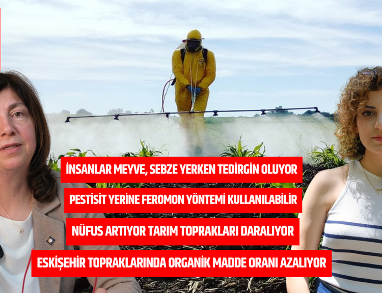 Soframızdaki tehdit pestisit: “Devlet hem denetlemeli hem bilgilendirmeli”