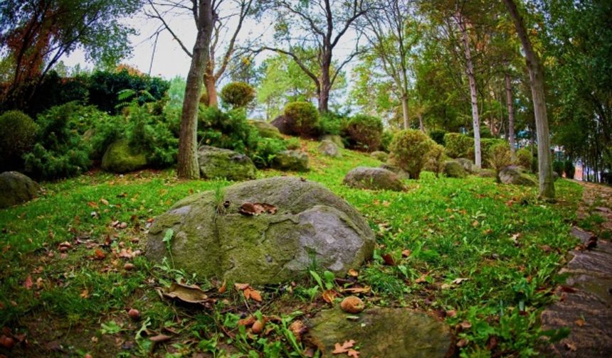 Kampüste sonbahar güzelliği