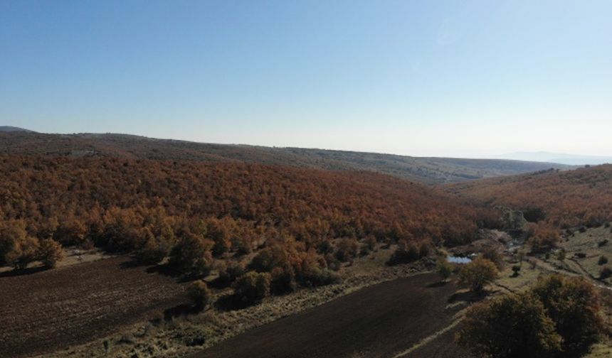 Bozdağ’dan eşsiz sonbahar görüntüleri