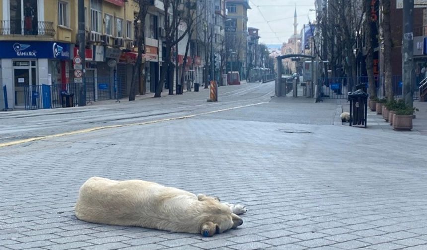 Yasağın ardından boş kalan Eskişehir sokakları...