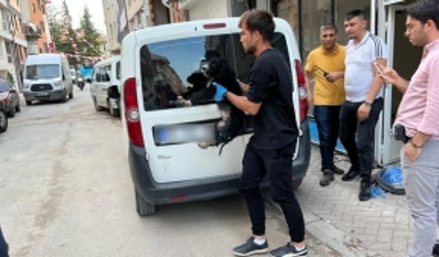 Boş dükkana bağlanan köpek hayvan severlerin ihbarıyla kurtarıldı