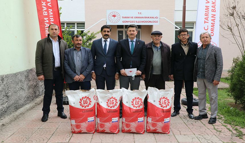 Günyüzü çiftçisi gündöndü ile kazanacak
