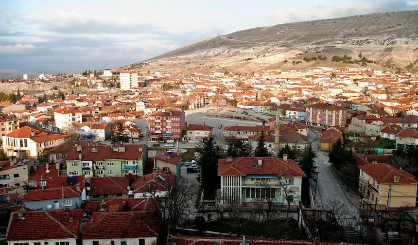 Eskişehir'in ilçesindeki dev arsa satılıyor