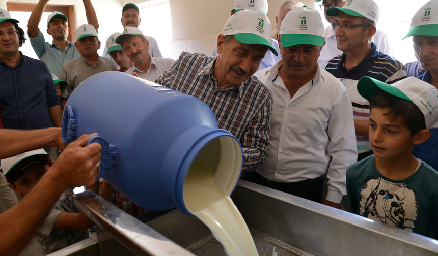 Başkan Ataç'tan Dünya Süt Günü Mesajı