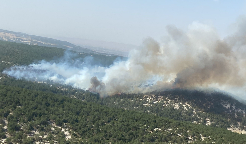 Orman yangınında alevler arasında kalan 2 işçi yaralandı