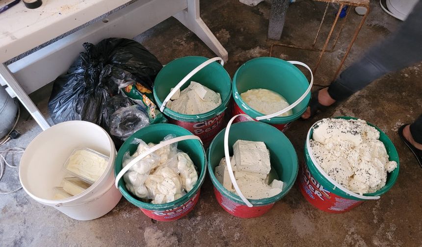 Peynir imalathanesinde şok görüntüler