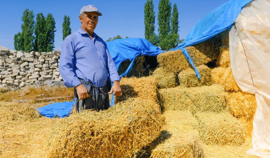 Tüm çiftçilerin beklediği haber geldi: Başvuranlar yüzde 40 zamlı alacak