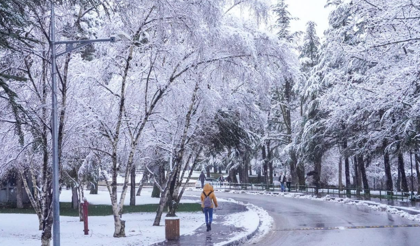 Anadolu Üniversitesi'nde kar manzaraları