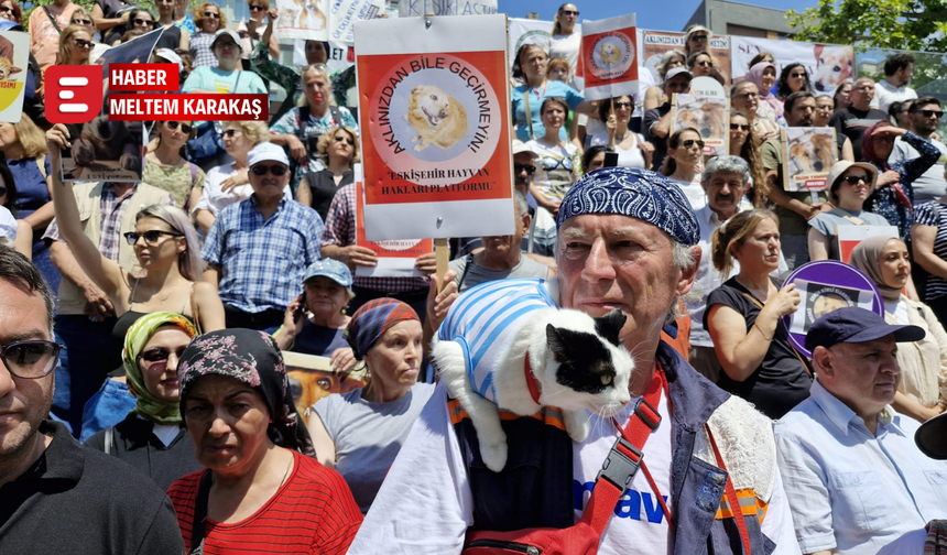 “Sokakta yaşayan dostlarımızı öldürmenize izin vermeyeceğiz”