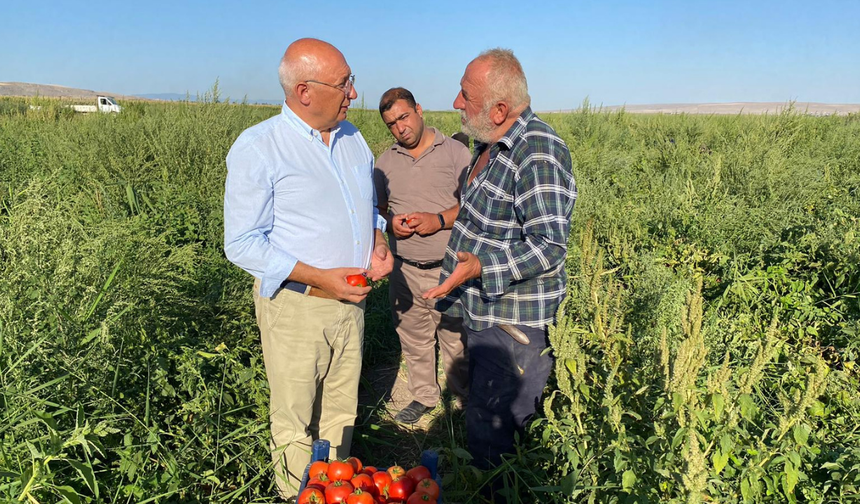 CHP’li Çakırözer tarlada Eskişehirli üreticileri dinledi