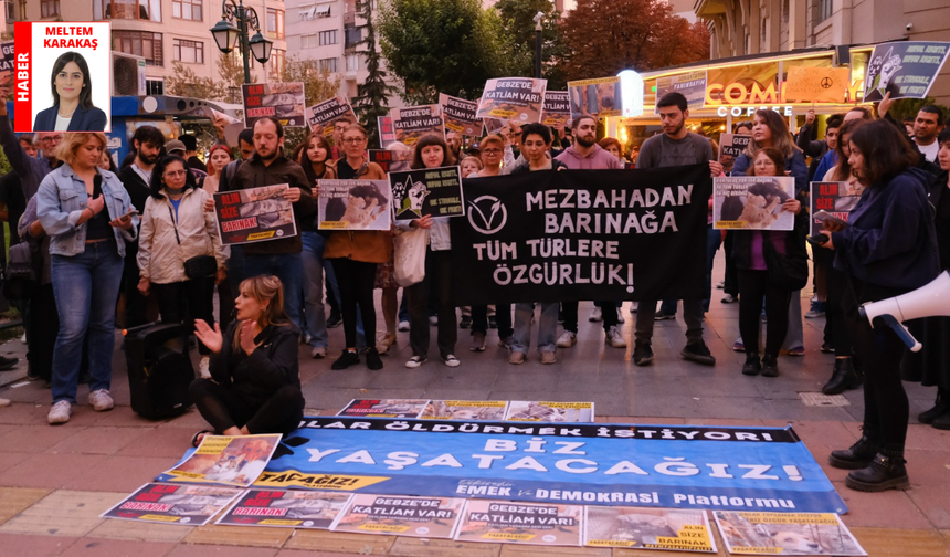 Gebze’de yaşanan hayvan katliamı Eskişehir’de protesto edildi: “Hayvan dostlarımızı yaşatacağız”