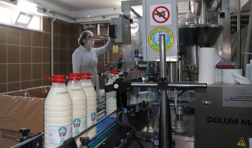 Eskişehir'de Halk Süt fiyatları ne kadar? İşte güncel liste...