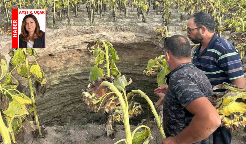 Eskişehir’de yeraltı suları tükeniyor: Kuyular 400 metreye indi!