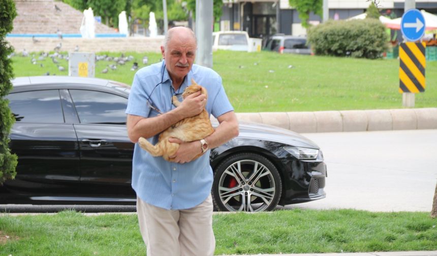 Eskişehir'de kedisinin canını kurtarmaya çalışırken ceza yedi: Kararı mahkeme verdi!