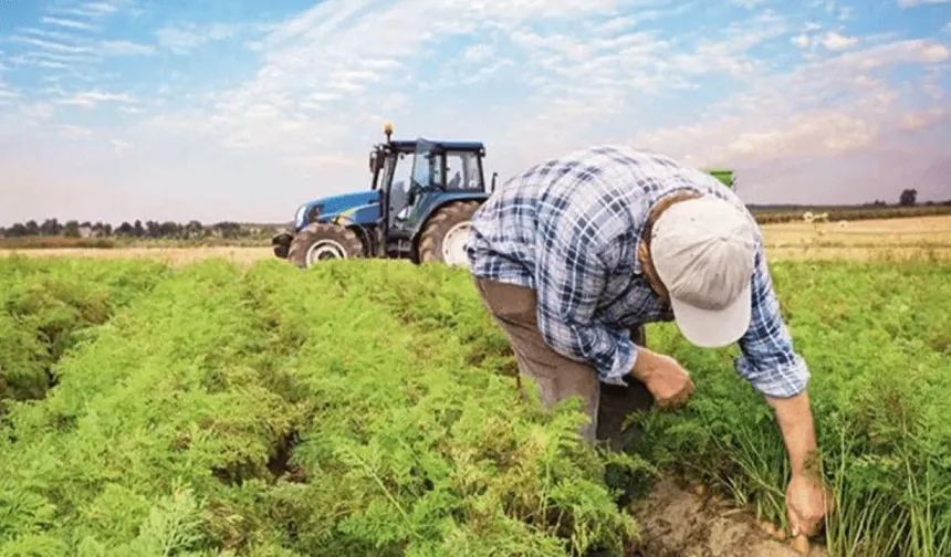 Eskişehir’de çiftçilere destek: 194 milyon TL hesaplara yatıyor